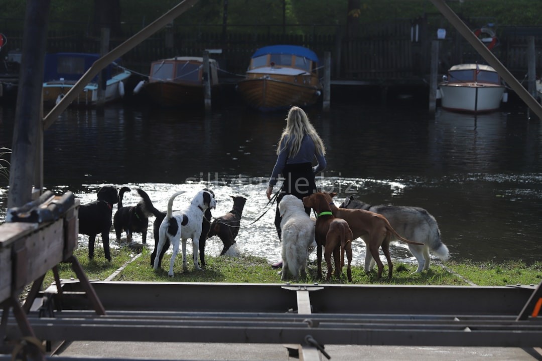 Pet Detail