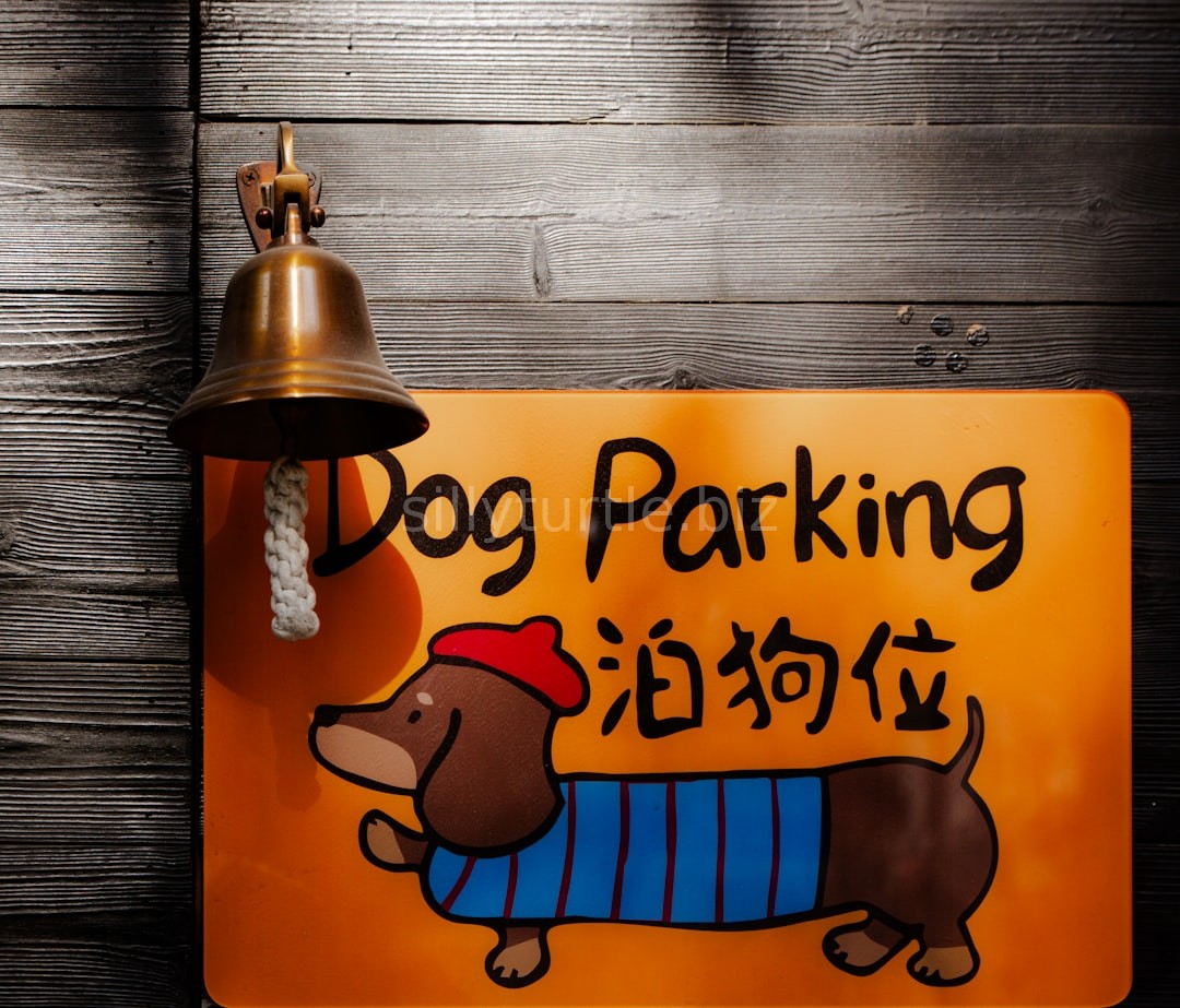 Dog Walking